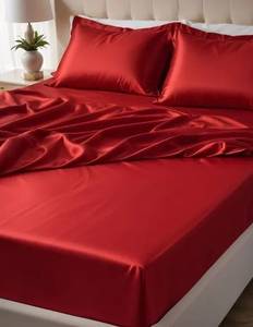 rencontre avec Armando