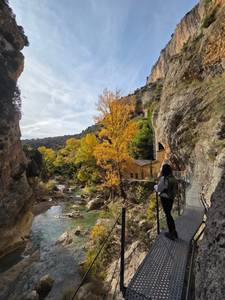 Femme célibataire 26 ans à Dax