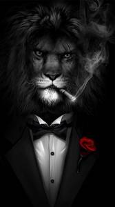 Djabyr, femme coquine de 22 ans - Saint-Denis