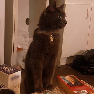 rencontre avec James