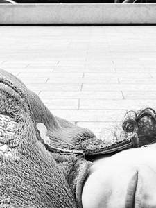 annonce rencontre belgique une femme a Etterbeek