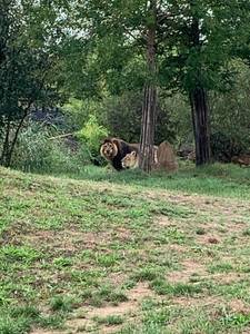 rencontre avec Loren