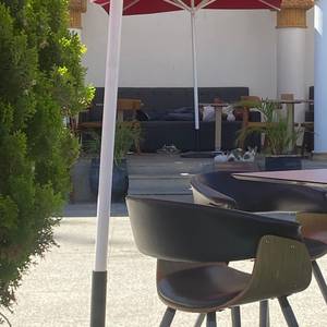 rencontre avec Stewart