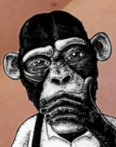 célibataire de Mimizan