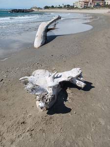 Plan cul avec femme   à plan-cul-evry