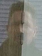 Willis rencontre avec Willis