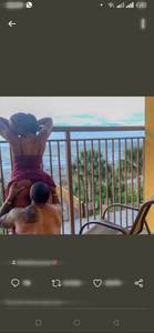 rencontre avec Walter