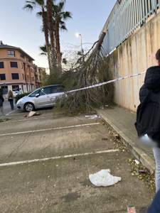 Femme célibataire 23 ans à Gatineau