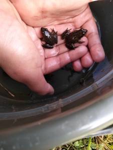 rencontre avec Cassandra