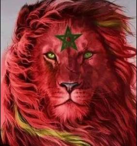 rencontre avec Sylvester