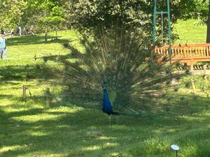 rencontre avec Keith