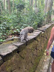 Rick rencontre avec Rick