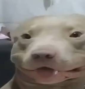 Murilocolombo20, femme coquine de 20 ans - Cocal do Sul