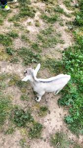 Gladys rencontre avec Gladys