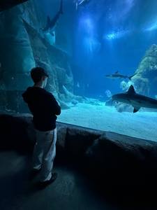 rencontre avec Caleb