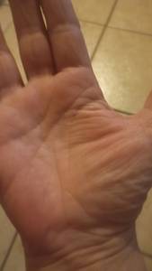 Sophia rencontre avec Sophia