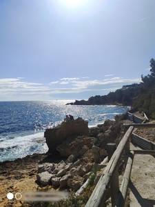 rencontre avec Travis