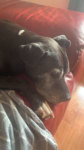 rencontre avec Maria