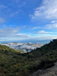 annonce rencontre amoureuse