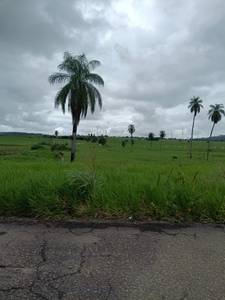 Photo de Riz78