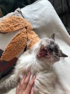 rencontre avec Ellis
