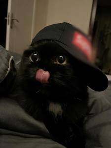 Photo du profil Myron, 26 ans à Anglet