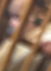 Tommy rencontre avec Tommy