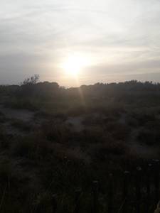 annonce rencontre amoureuse