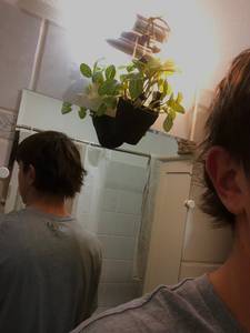 Conrad rencontre avec Conrad