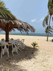 Femme coquine châtain super chaude à plan-cul-gael