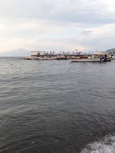 Misty rencontre avec Misty