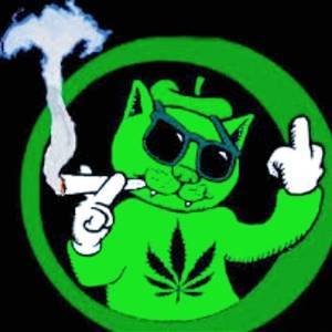 rencontre avec Sammy