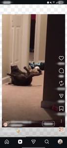 Ervin rencontre avec Ervin