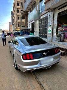 rencontre avec Patti