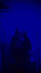 rencontre avec Roosevelt