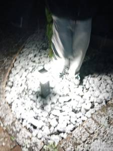 Femme célibataire 54 ans à Rennes