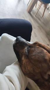 rencontre avec Cesar