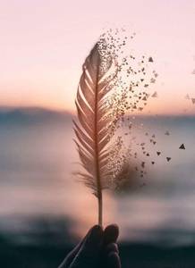 Femme célibataire 45 ans à Epinal