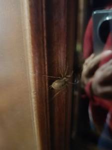 Magdalena, femme coquine de 45 ans - Pozna?