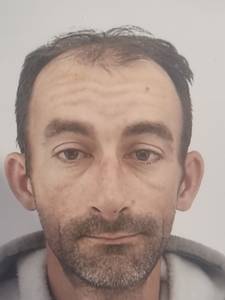 Roy rencontre avec Roy