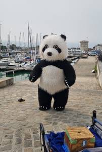 rencontre avec Robin