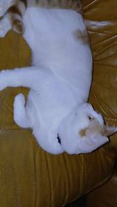 Plan cul avec fille  coquine à plan-cul-xocourt