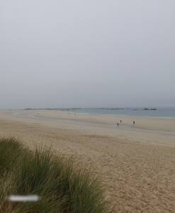 Opal Libourne