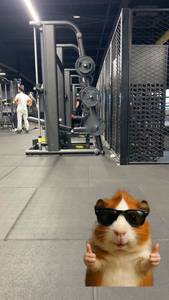 Gene rencontre avec Gene