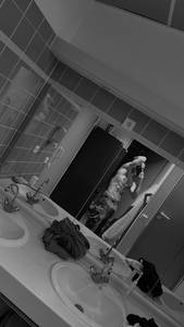 rencontre avec Lucas