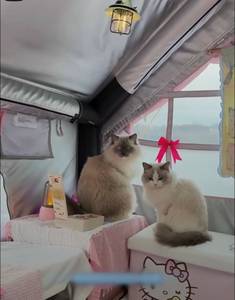 cherche une rencontre amoureuse