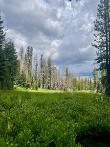 5harkem29, femme coquine de 40 ans - Conecuh County