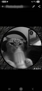 Lester rencontre avec Lester