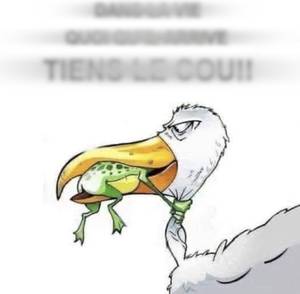 Femme célibataire 46 ans à Dijon