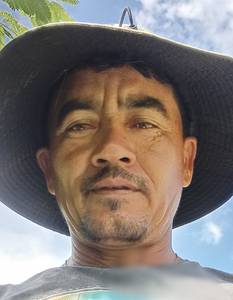 Pereirabendito